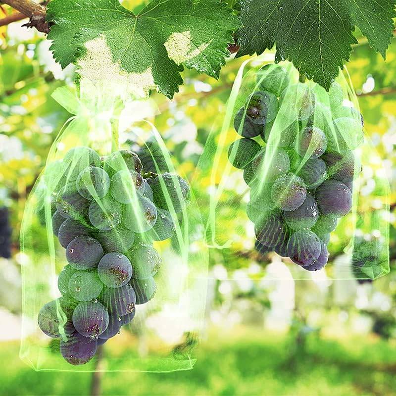 Sachets de protection pour fruits et raisins - Sachets de protection pour plantes - 20 x 30 cm - 100 pièces - Vert-Lytech - Image 5