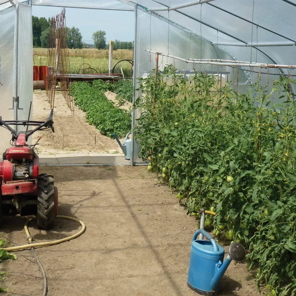 Serre de jardin avec aérations 5 x 5 m Les Serres Tonneau - Image 3