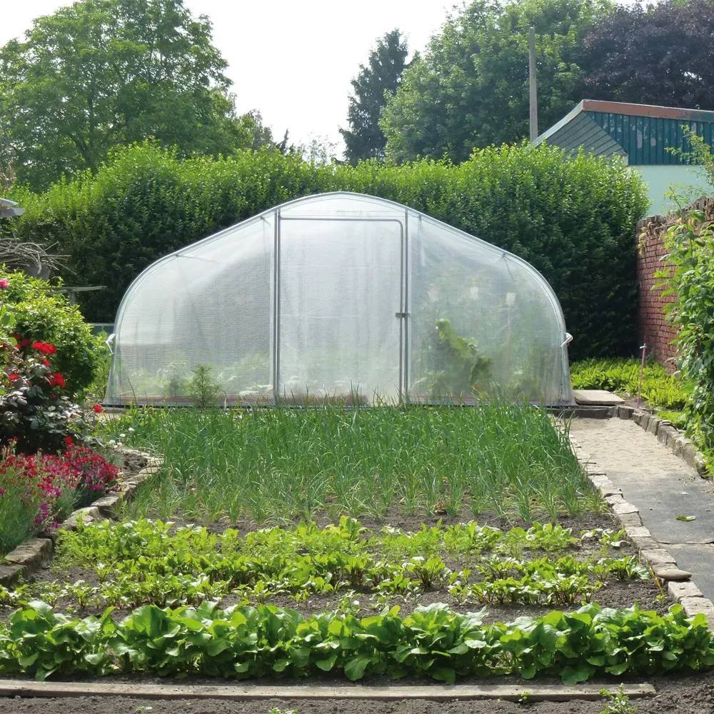Serre de jardin avec aérations 5 x 5 m Les Serres Tonneau - Image 2