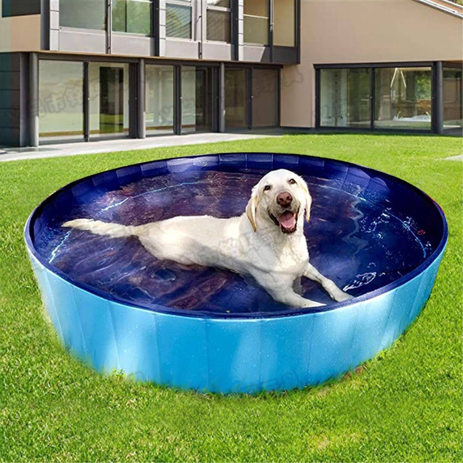 Piscine pour chien，Baignoire pliable  de compagnie, piscine extérieure pliable pour chiens, chats, enfants, antidérapante, bleue, 120 x 30 cm-Lytech - Image 1