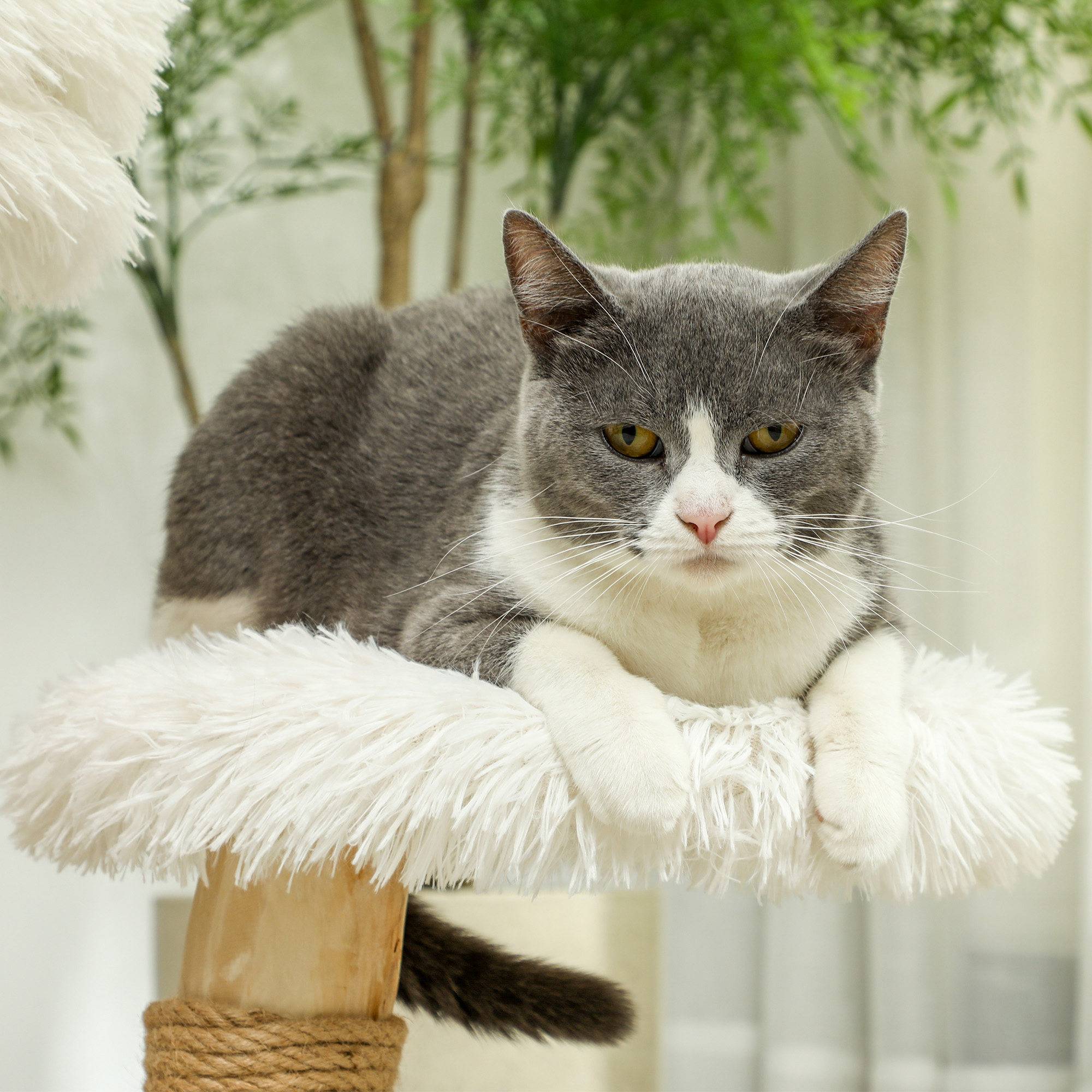Arbre à chat bois massif pour petit espace lit lavable et griffoir 61cm blanc - ComfortXL Outdoor Living - Image 10