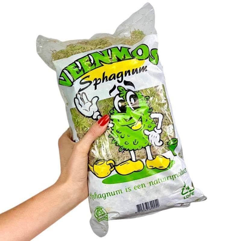 Sphaigne vivante - Sphaigne pour plante - Mousse de sphaigne - Sphaigne vivante pour plante - Image 9