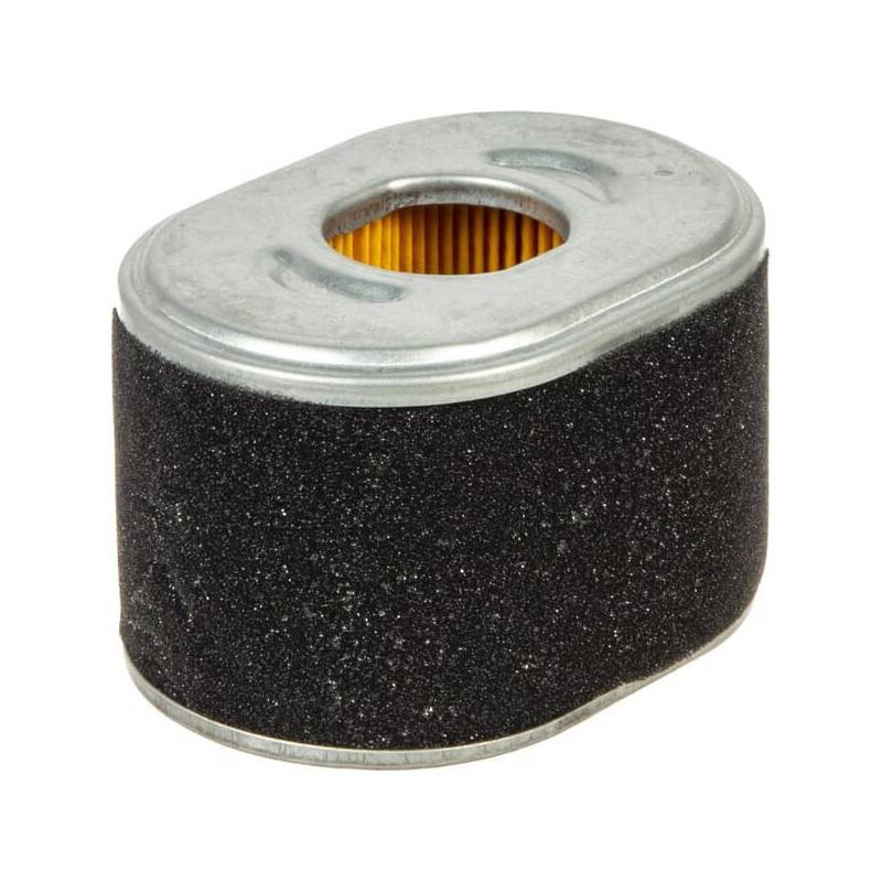 Briggs & Stratton - Filtre de purificateur d?air Briggs et Stratton - 594146