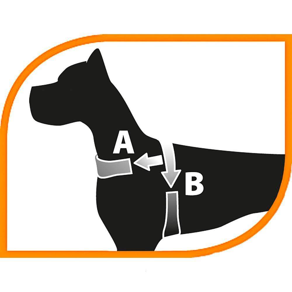 Ferplast - Ferplast Harnais chien SPORT DOG, Harnais pour chien taille Grande, Harnais Suédois, Rembourrage doux, Coutures Réfléchissantes, Fermeture par - Image 2