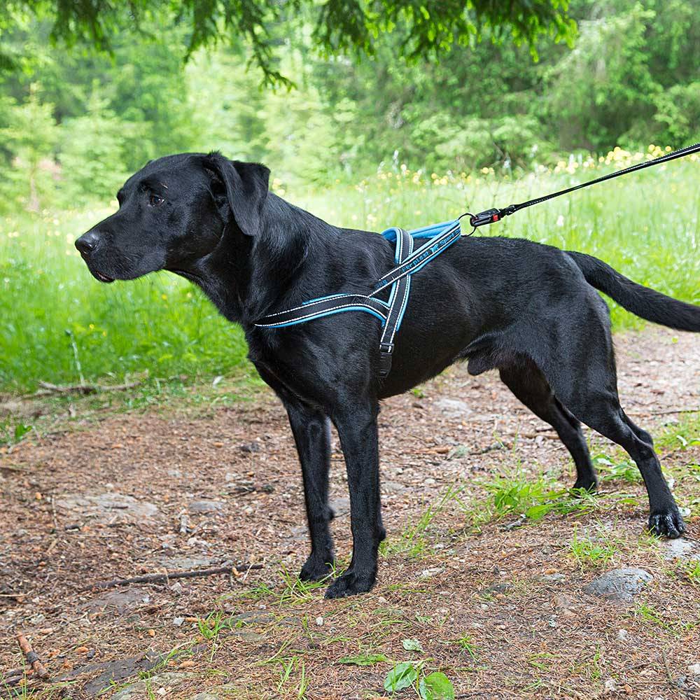 Ferplast - Ferplast Harnais chien SPORT DOG, Harnais pour chien taille Grande,  Harnais Suédois, Rembourrage doux, Coutures Réfléchissantes, Fermeture par - Image 4
