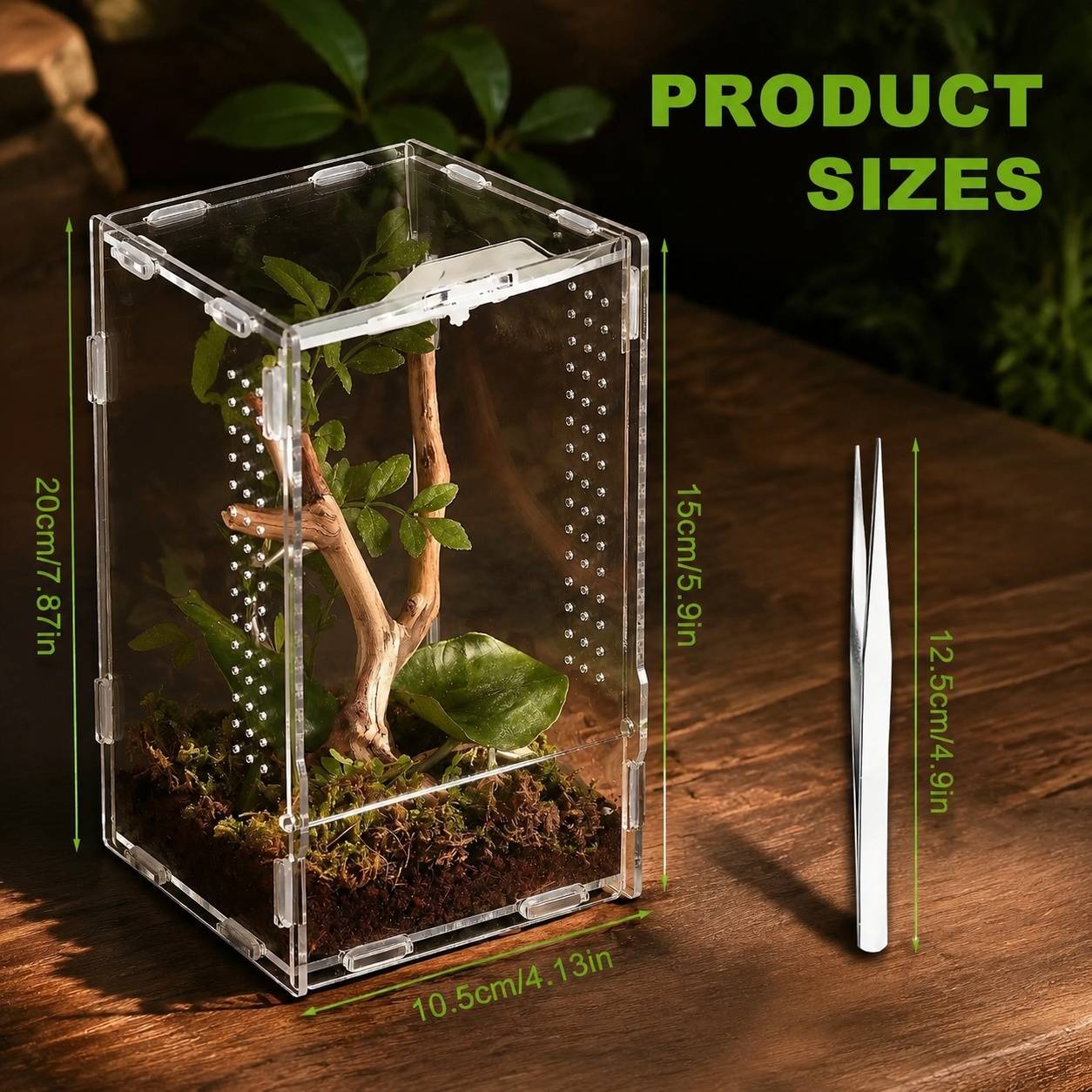 Terrarium Portable Acrylique Vue Panoramique 360° ventilation optimale pour reptiles escargots - Image 2