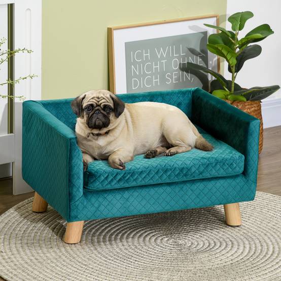 Sans Marque - Petit canapé pour chien 64x45x36 cm, recouvert de velours, avec coussin lavable et pieds en bois de bouleau bleu-vert - Image 3