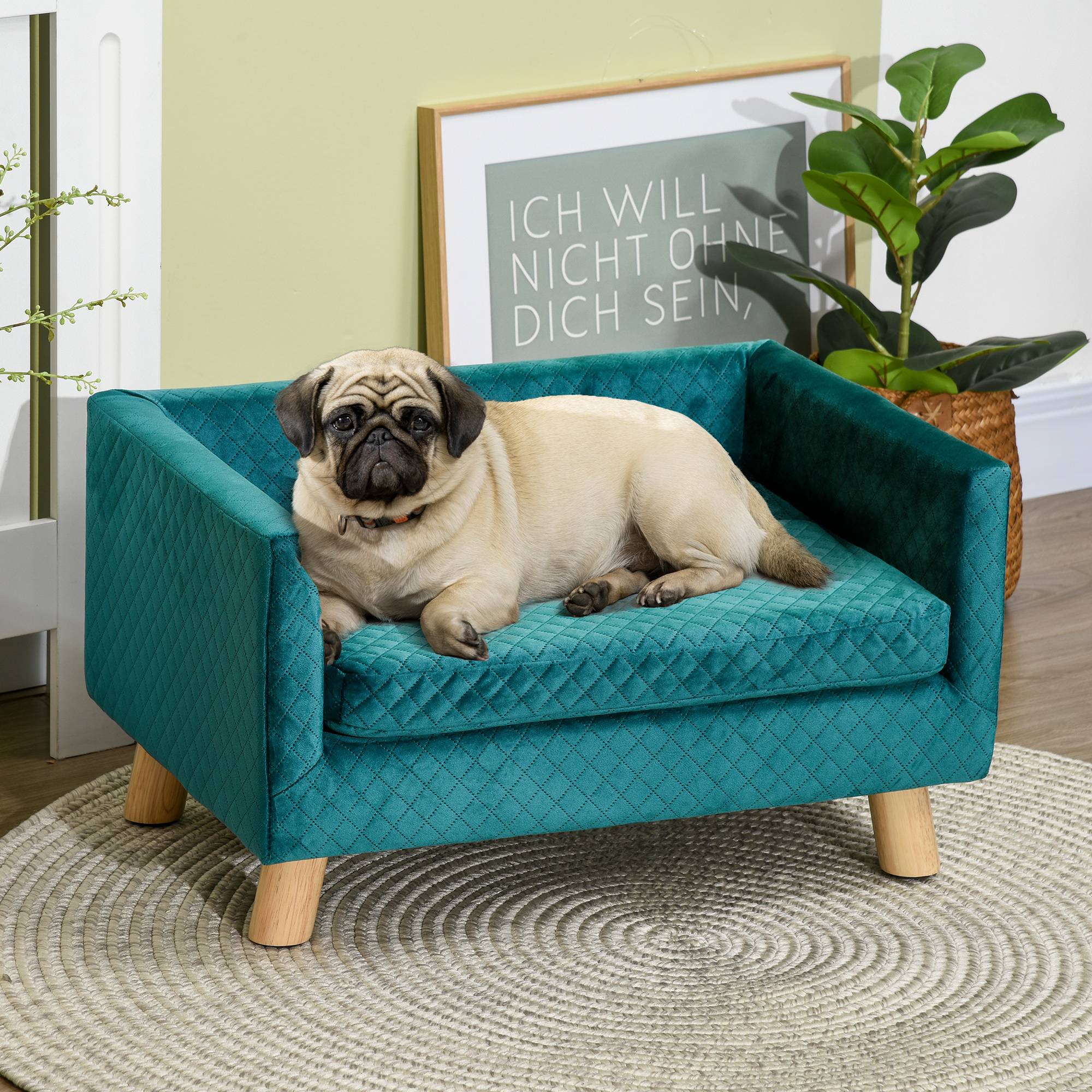 Sans Marque - Petit canapé pour chien 64x45x36 cm, recouvert de velours, avec coussin lavable et pieds en bois de bouleau bleu-vert - Image 3