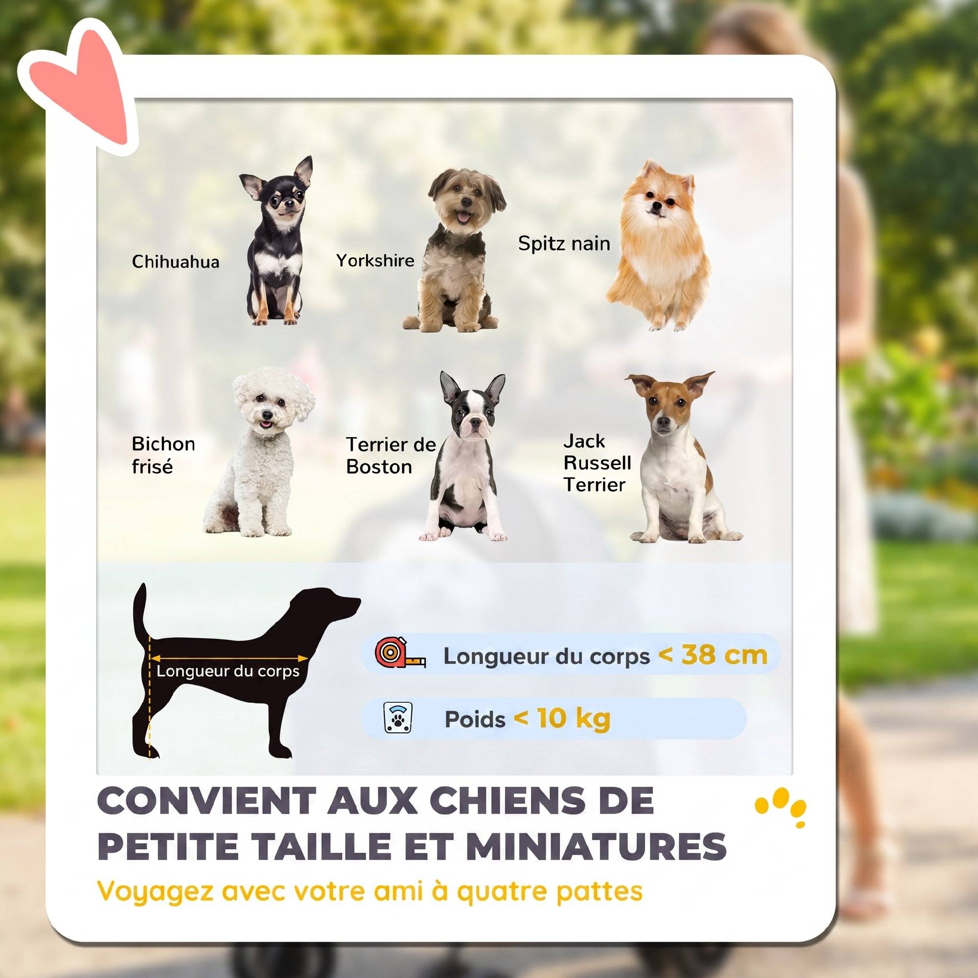 Poussette pour Chien Pliable, 4 Roues EVA, Fenêtres en Maille, Laisses de Sécurité, Coussin Amovible, 73x50x96cm, Gris - Image 6
