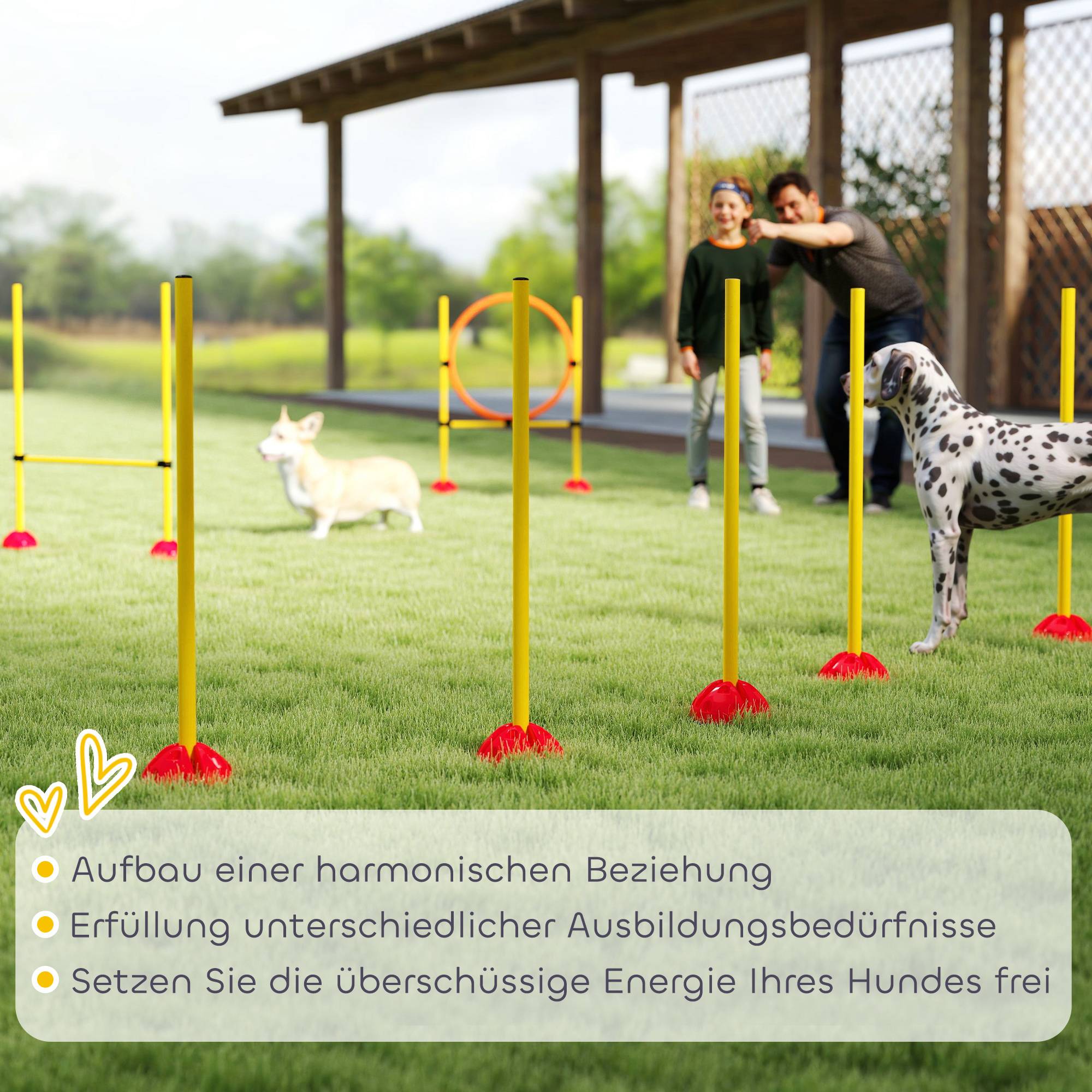 ComfortXL - Parcours agilité chien en PE orange et jaune 3 modules pour dressage réglable - ComfortXL Outdoor Living - Image 9