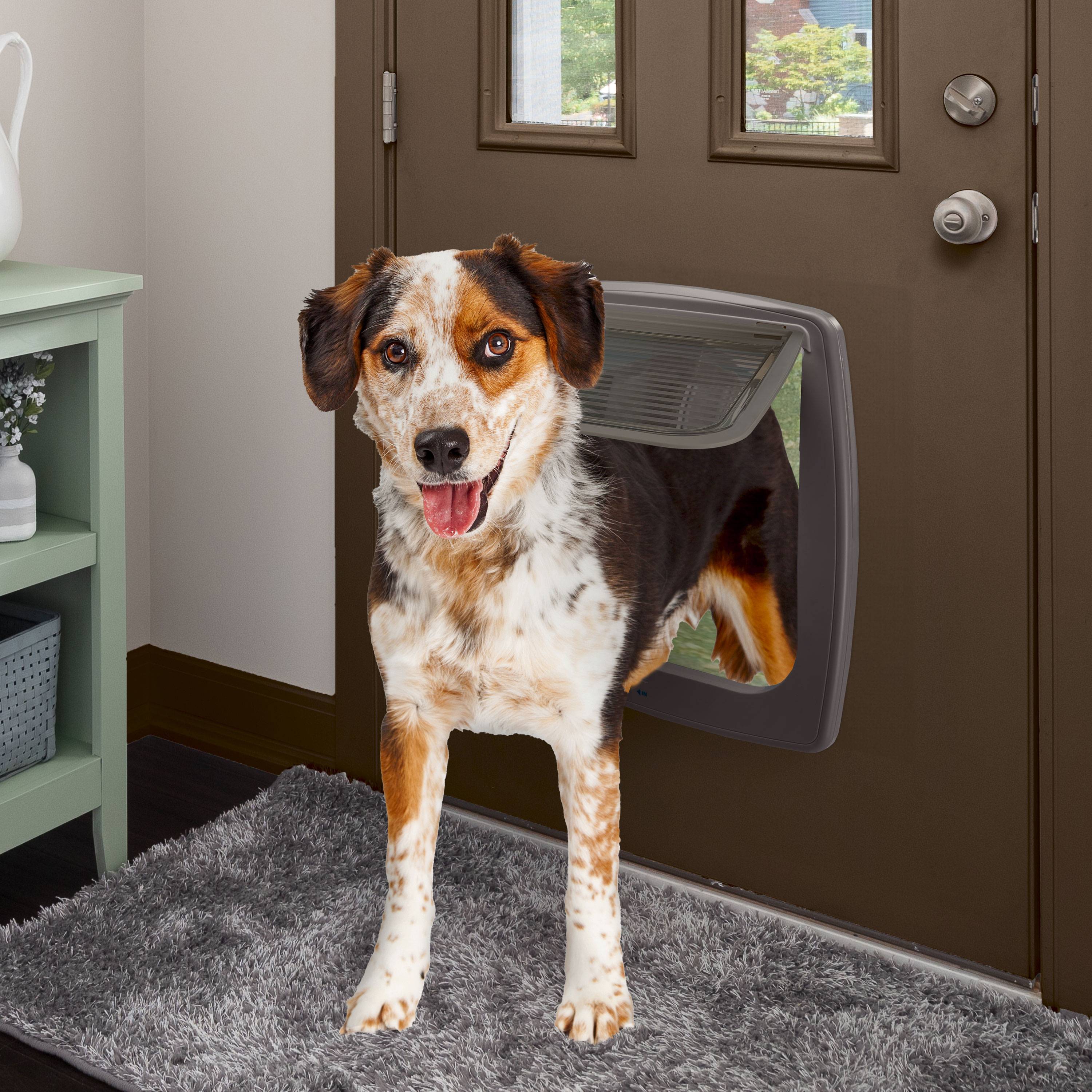 Ferplast - Ferplast Porte pour Grands Chiens, Chatiere Porte pour Chiens, Entrée et Sortie Contrôlables à 4 Voies, Proctection contre les Courants d'air, Tunnel - Image 3