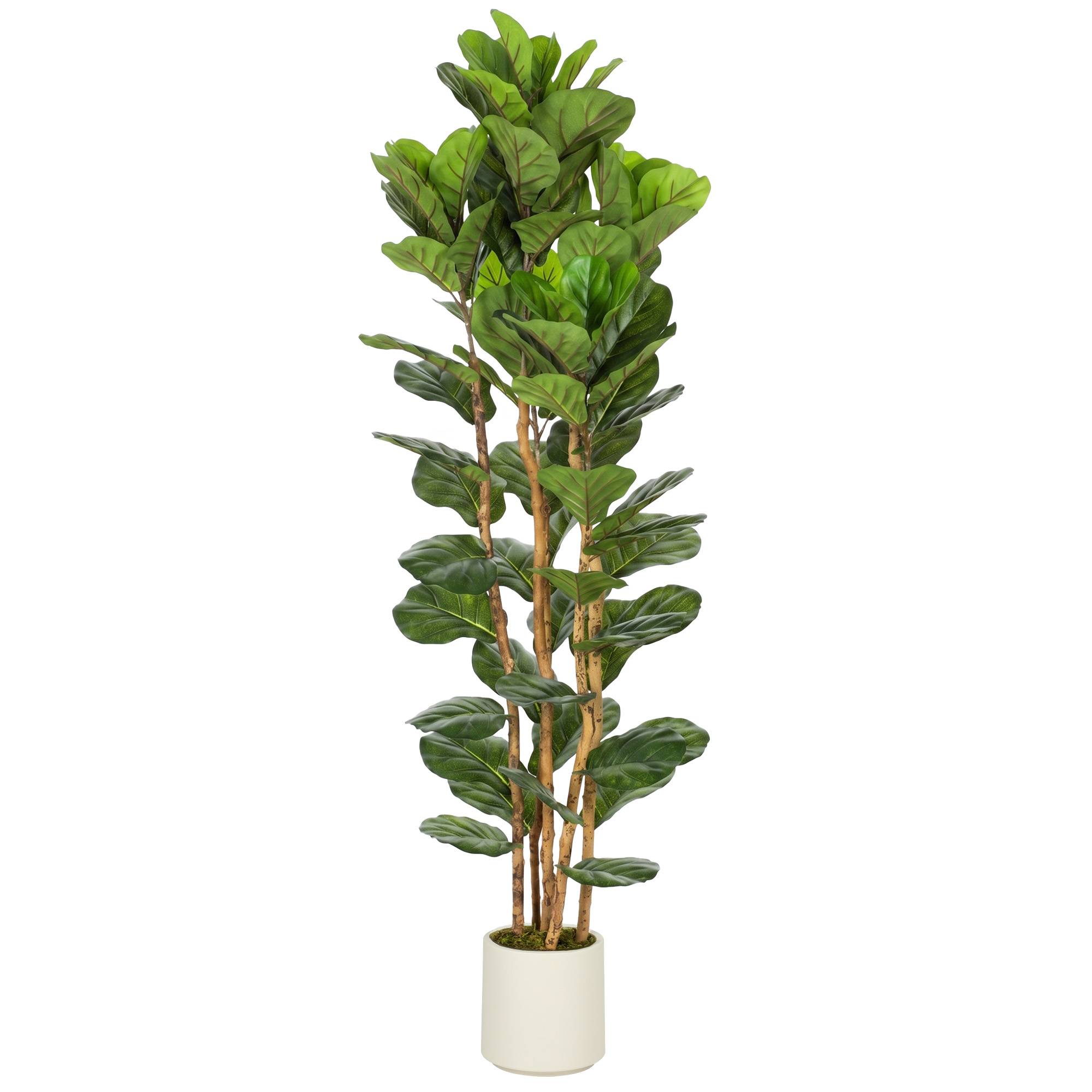 Faux figuier lyre artificiel, 91 feuilles, tronc bois massif, pot, 55x55x180 cm, vert - Image 1