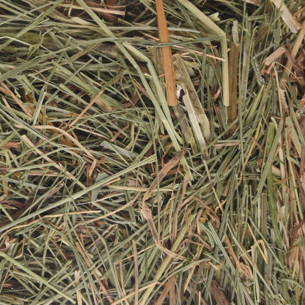 Foin de montagne avec orties 500 g pour rongeurs - Image 2