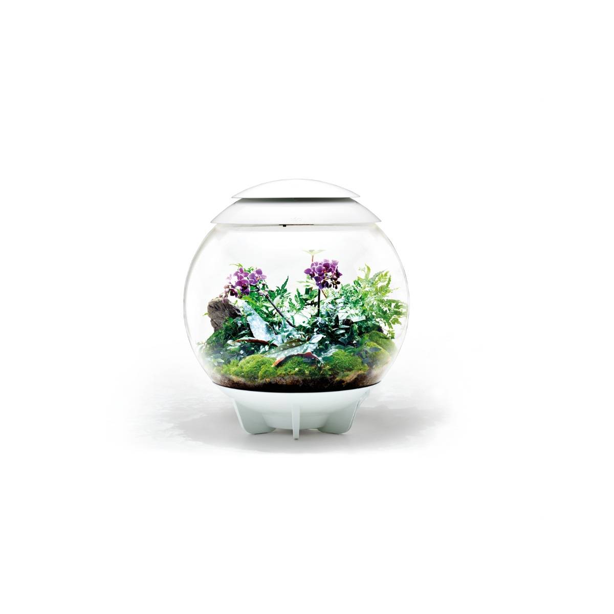 Oase - Terrarium décoratif 60l avec cadre blanc AIR 60 WHITE Oase - Image 9