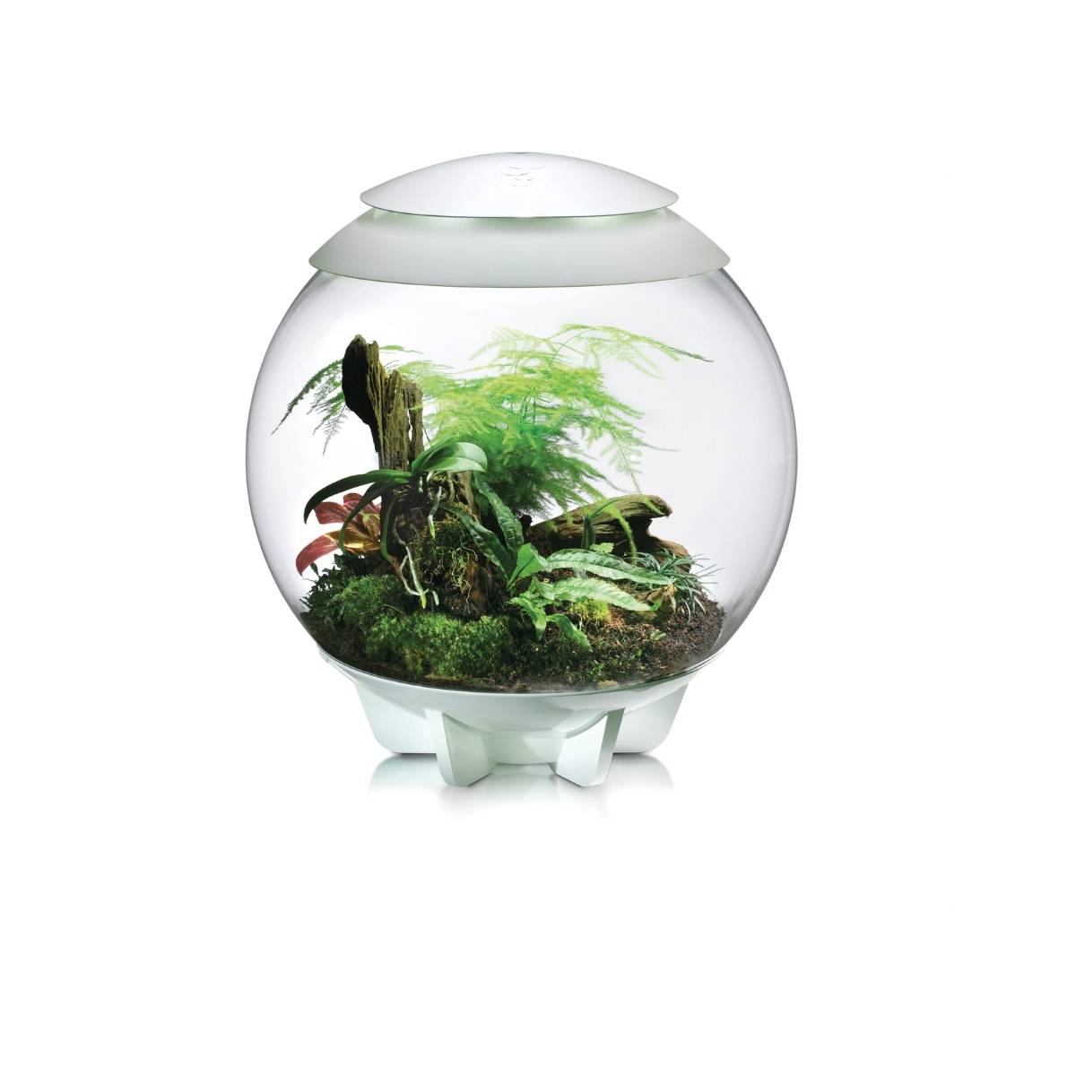 Oase - Terrarium décoratif 60l avec cadre blanc AIR 60 WHITE Oase - Image 5