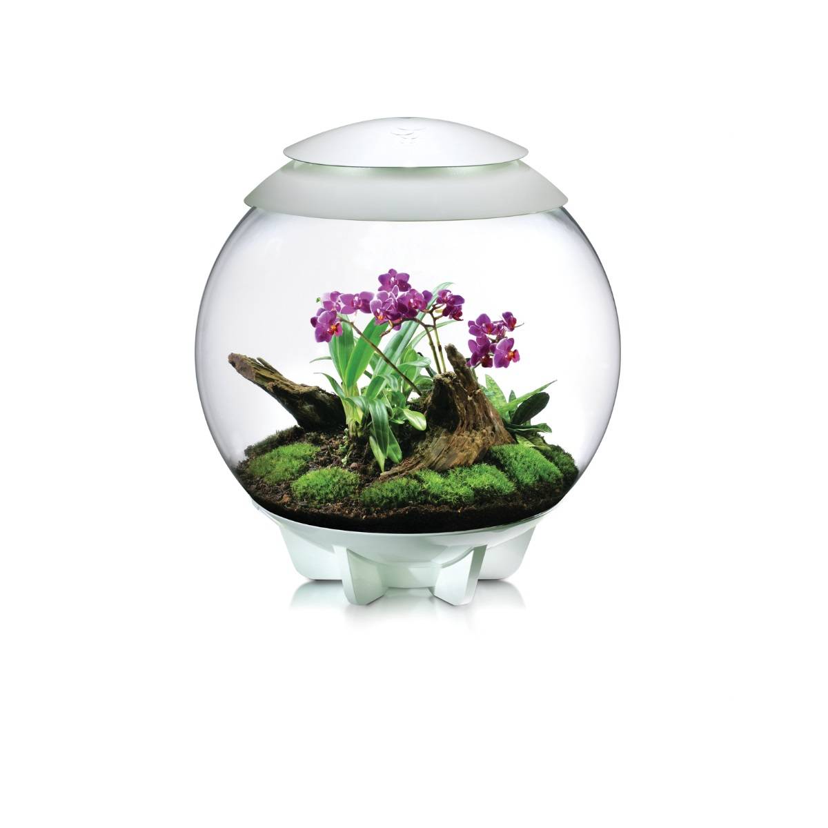 Oase - Terrarium décoratif 60l avec cadre blanc AIR 60 WHITE Oase - Image 4