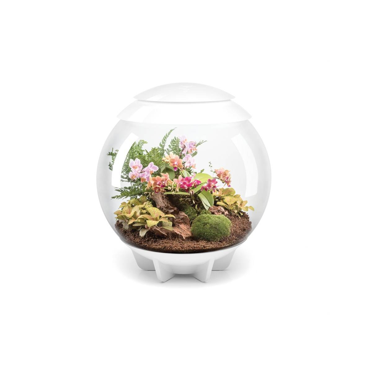 Oase - Terrarium décoratif 60l avec cadre blanc AIR 60 WHITE Oase - Image 1