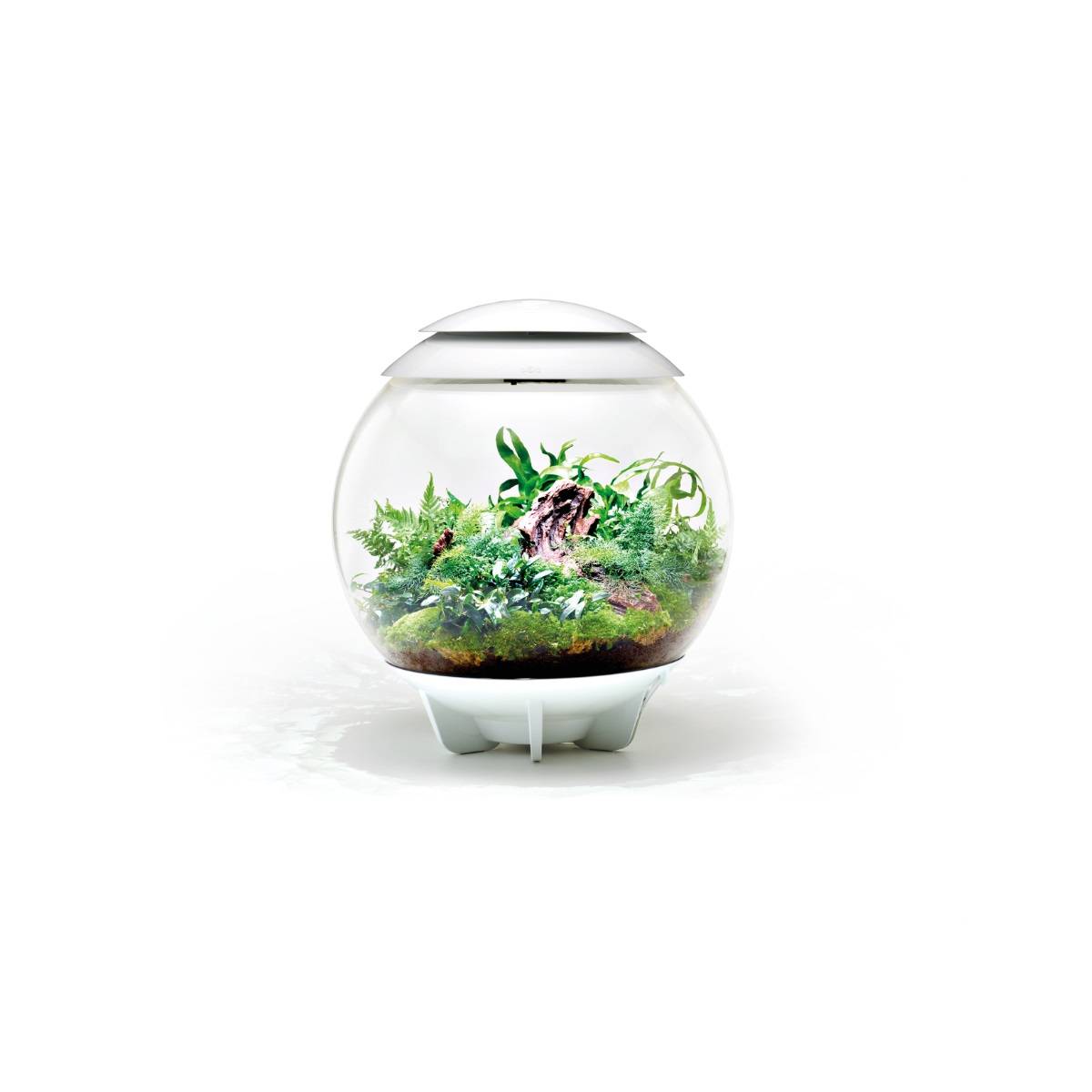 Oase - Terrarium décoratif 60l avec cadre blanc AIR 60 WHITE Oase - Image 3