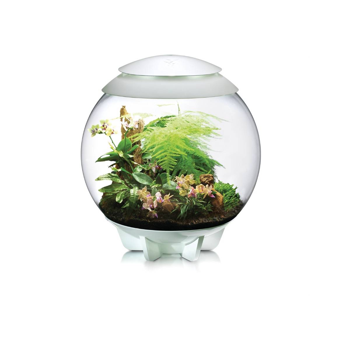 Oase - Terrarium décoratif 60l avec cadre blanc AIR 60 WHITE Oase - Image 8