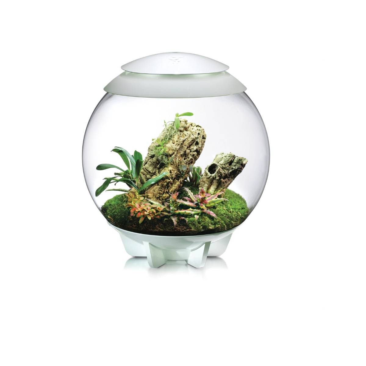 Oase - Terrarium décoratif 60l avec cadre blanc AIR 60 WHITE Oase - Image 6