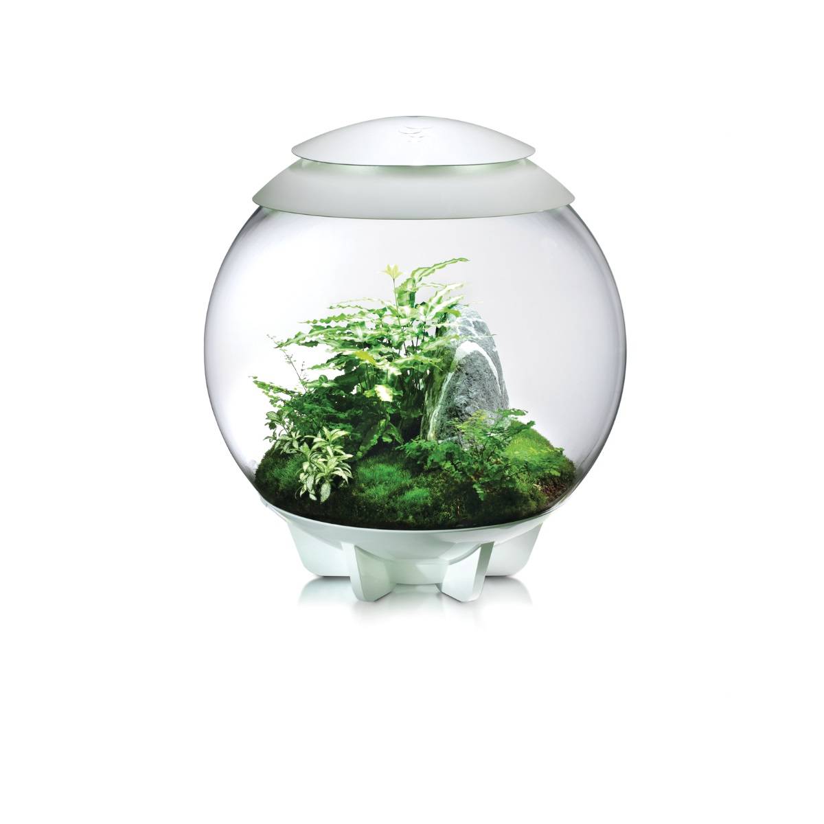 Oase - Terrarium décoratif 60l avec cadre blanc AIR 60 WHITE Oase - Image 7