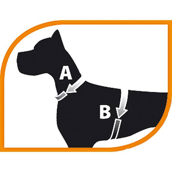 Ferplast - Ferplast COACH Harnais pour chien de taille moyenne, harnais de dressage pour chien qui empêche les tractions pendant les promenades, contrôle maximal - Image 2