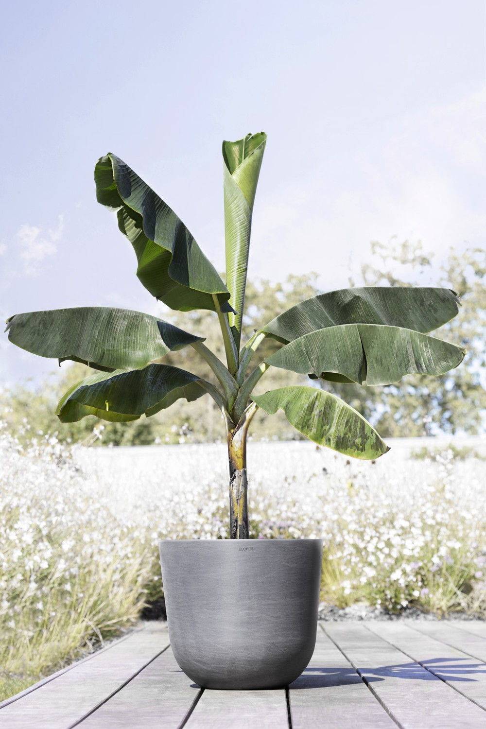 Ecopots - Pot Rond Oslo 45 Gris - Ø 45 x H. 39,2 cm - 46,6 L ECOPOTS - Image 4