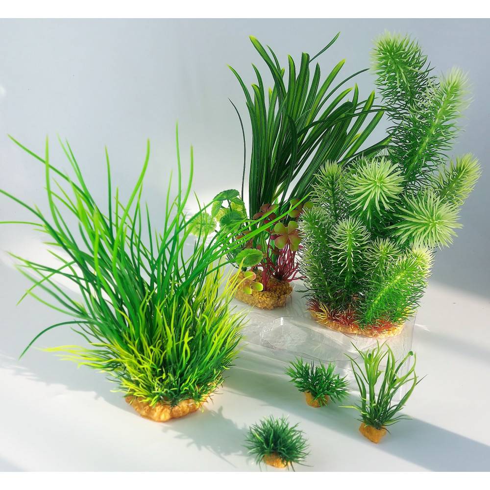 Zolux - Déco plantkit idro N3 plantes artificielles 6 pieces H 28 cm décoration d'aquarium - Image 5