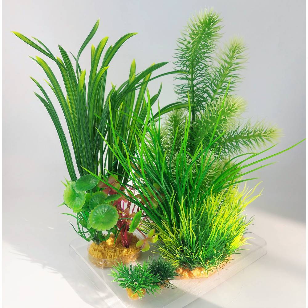 Zolux - Déco plantkit idro N3 plantes artificielles 6 pieces H 28 cm décoration d'aquarium - Image 7