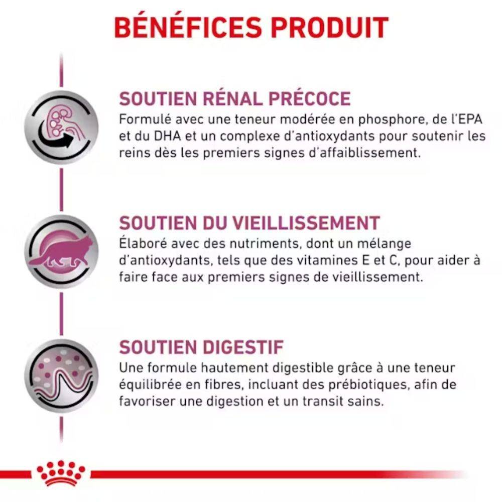 Royal Canin - Royal Canin Veterinary Early Renal Chat - Bouchées en sauce 12 x 85g - Image 3