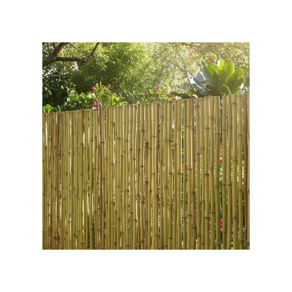 Aubry Gaspard - Canisse en bambou 2 x 1,8 m - Image 2