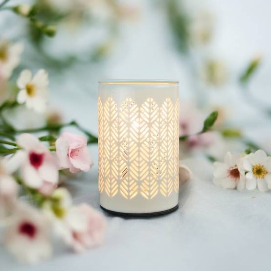Zen'Arôme Brûleur Cire Parfumée Calorya n°9 - Brûleur Électrique Fondant Parfumé - Lampe à Parfum - Coupelle Amovible - Image 2