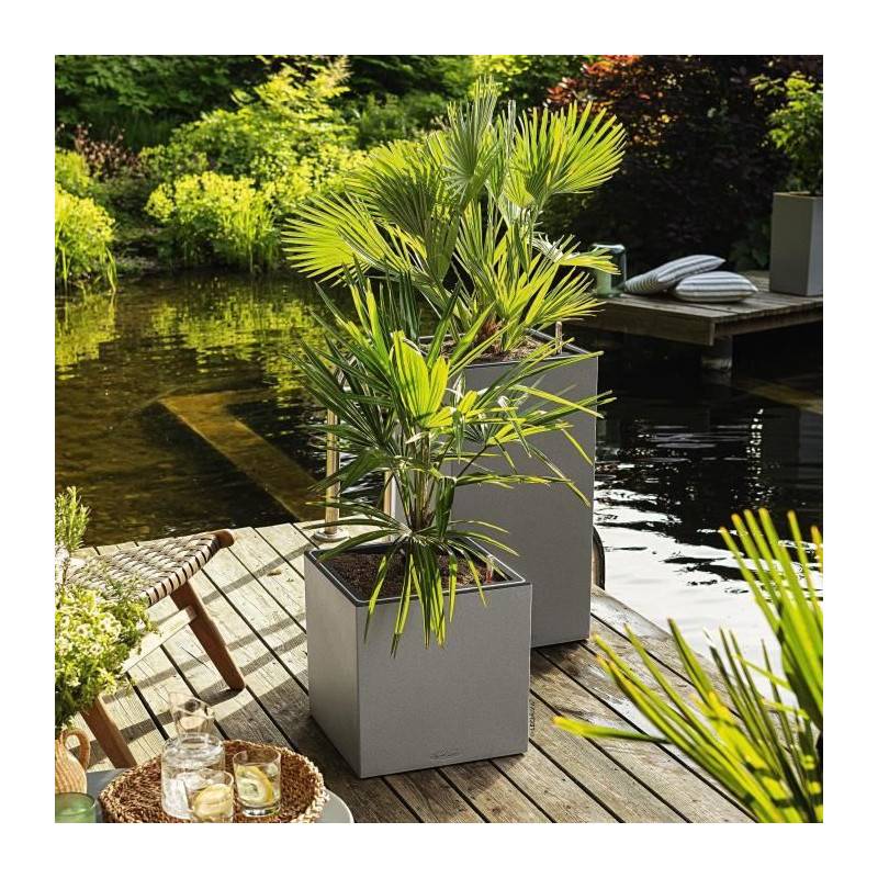 Lechuza - Pot De Fleur Lechuza Canto Stone Colonne 40 - Kit Complet Led, Gris Pierre - Image 5