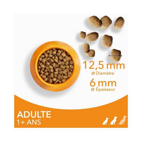 Croquettes chien Adult S/M Poulet - IAMS for Vitality 12 kg - Image 4
