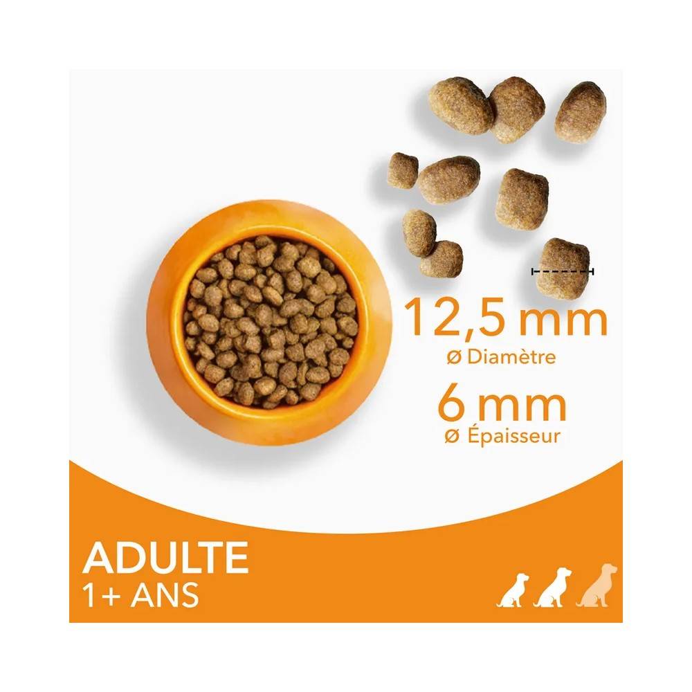 Croquettes chien Adult S/M Poulet - IAMS for Vitality 12 kg - Image 4