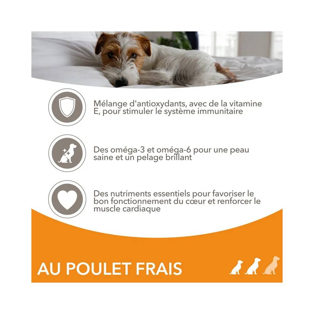 Croquettes chien Adult S/M Poulet - IAMS for Vitality 12 kg - Image 3