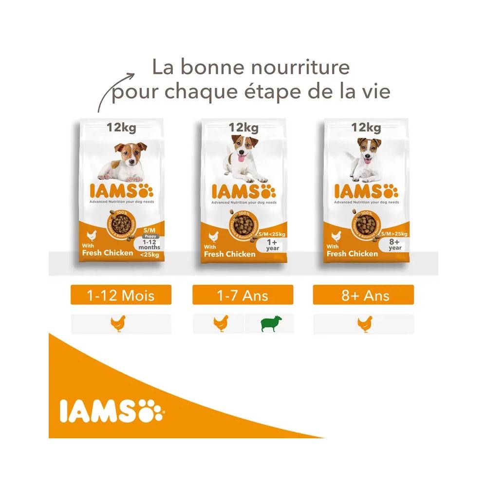 Croquettes chien Adult S/M Poulet - IAMS for Vitality 12 kg - Image 6