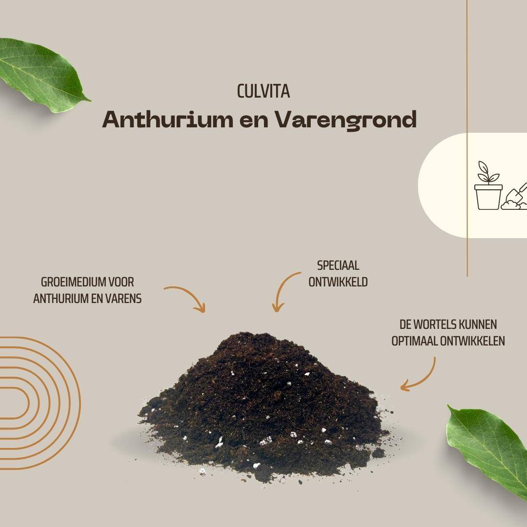 La Green Touch - Terreau pour anthuriums et fougères Culvita - 5 litres - Image 4