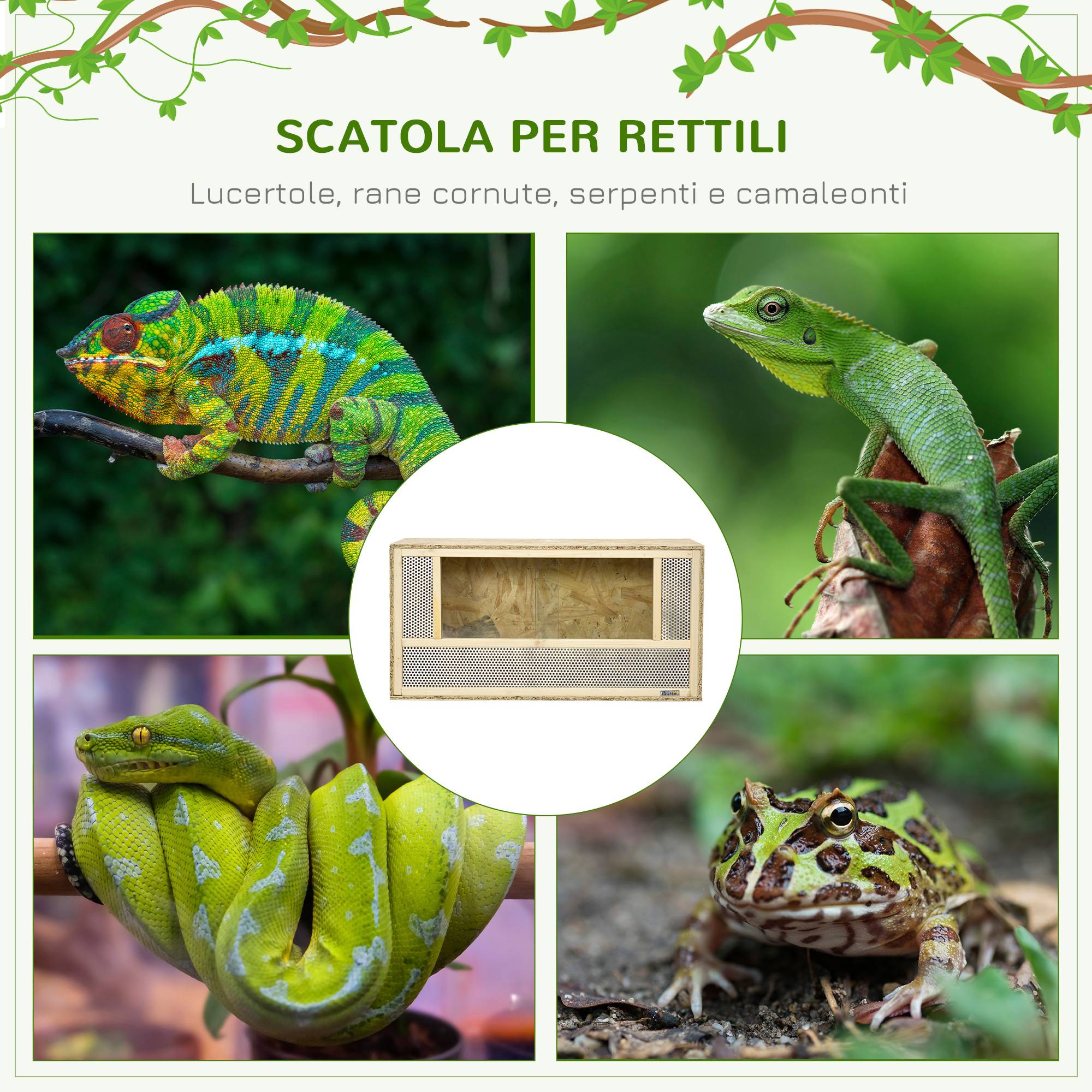 Terrarium Reptiles Bois OSB Maison Portes Verre Coulissantes 80x40cm - ComfortXL Outdoor Living - Image 6