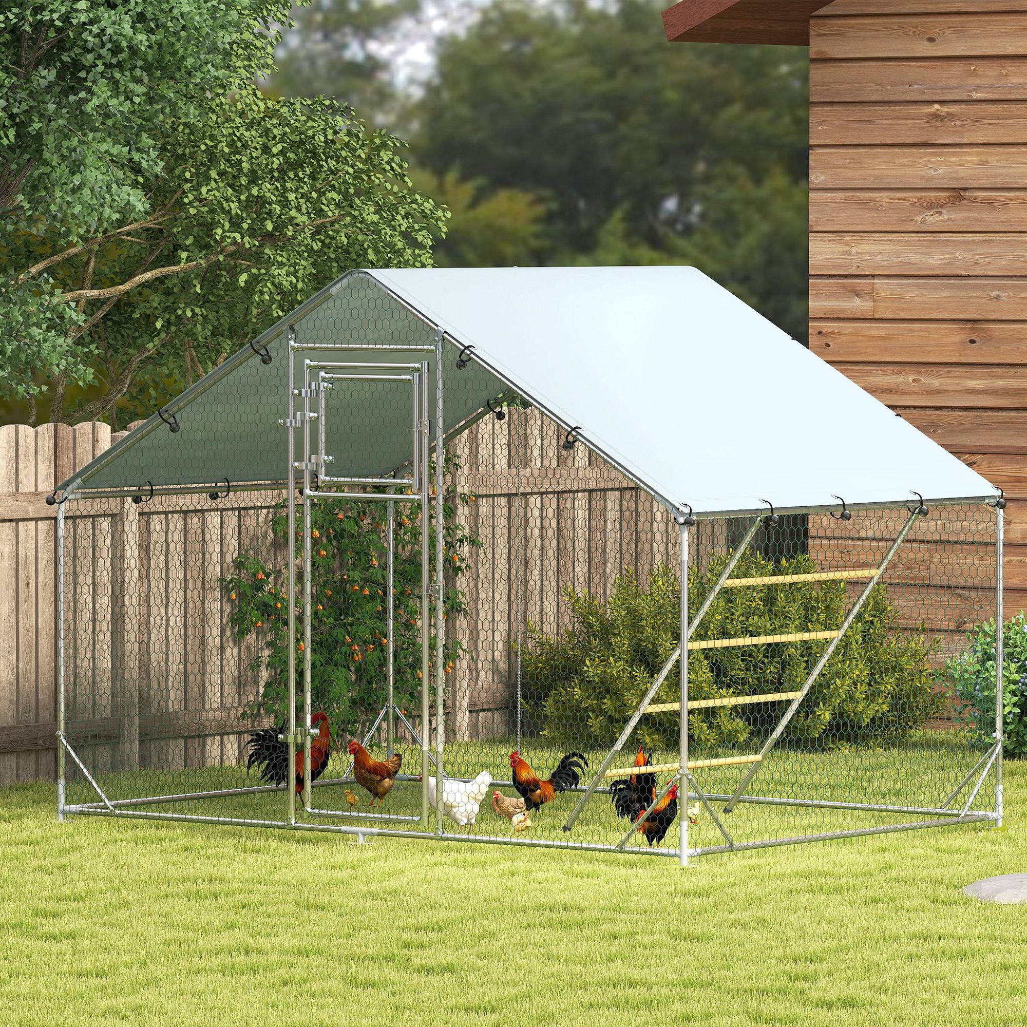 Sans Marque - Poulailler 6 m² 6-8 poules toit étanche mangeoire perchoir 3x2x1,9 m argent - Image 4