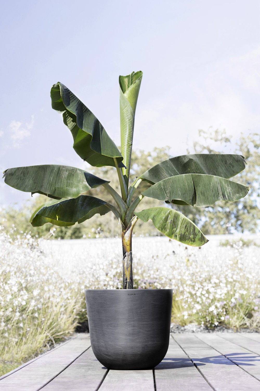 Ecopots - Pot Rond Oslo 45 Gris Foncé - Ø 45 x H. 39,2 cm - 46,6 L ECOPOTS - Image 4