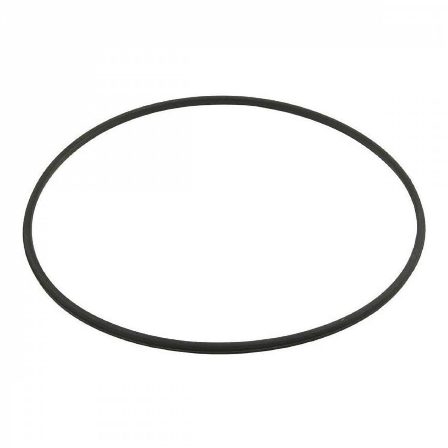 Hayward - Joint de corps pour pompe de piscine Power Flo - SPX1705Z1 - Hayward