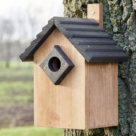 Mangeoire oiseaux extérieur à suspendre pour oiseaux sauvages en bois massif toit gris - Image 1