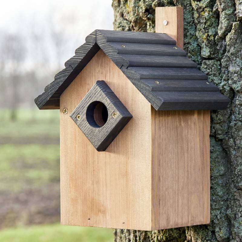 Mangeoire oiseaux extérieur à suspendre pour oiseaux sauvages en bois massif toit gris
