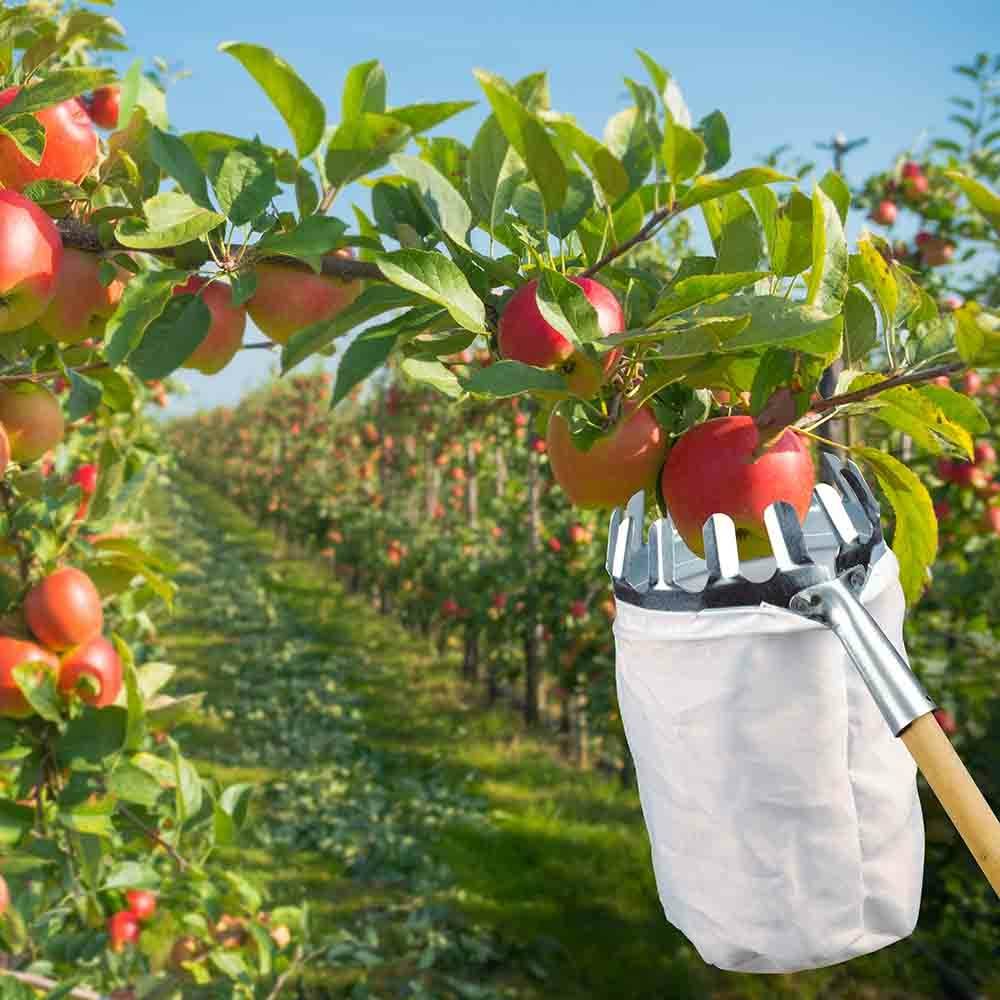 Sans Marque - Cueille fruits - Image 2
