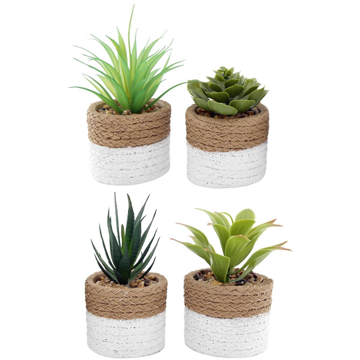 Sil - Plante succulente en pot bicolore 8 x 15 cm (Lot de 4) Sil - Image 1