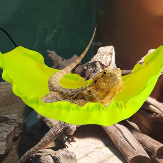 Hamac pour reptiles DtopbuyAge - Image 3