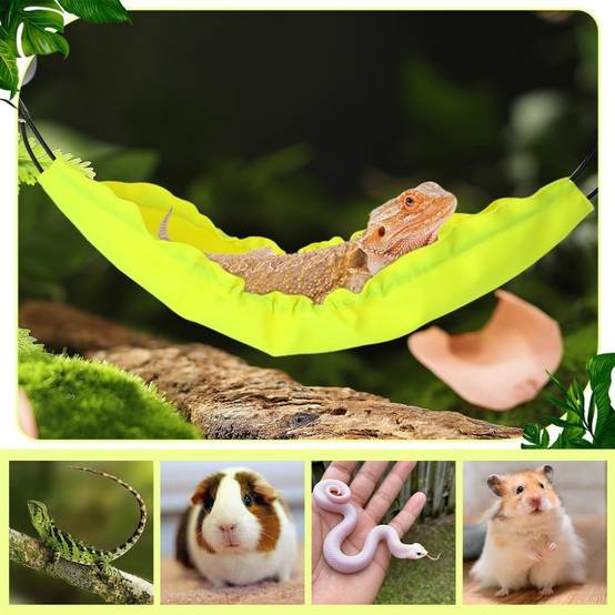 Hamac pour reptiles DtopbuyAge - Image 2
