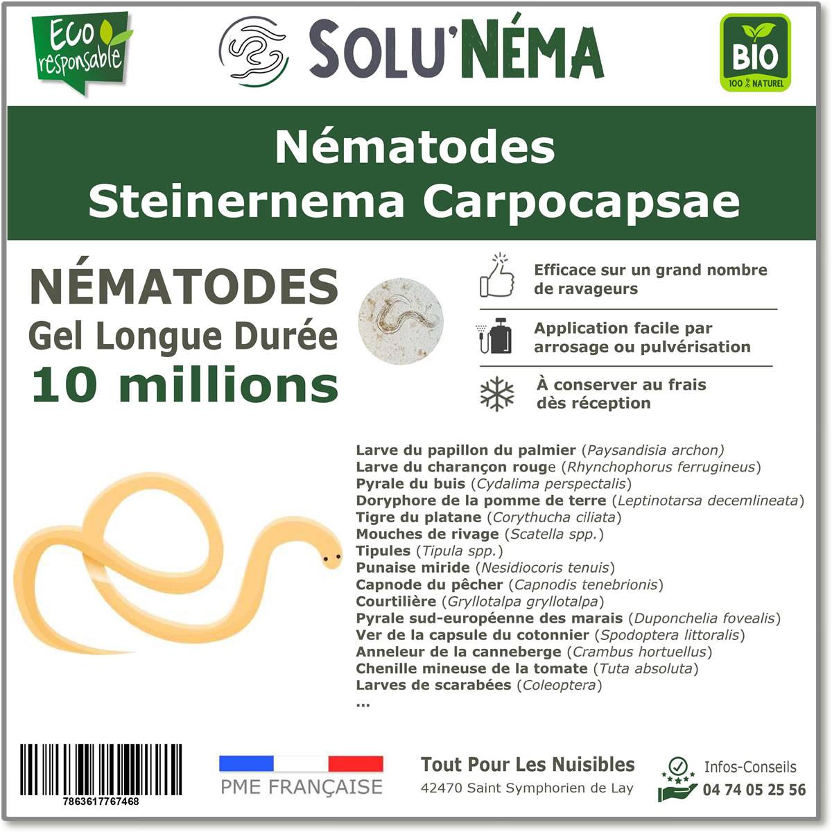 SOLUNEMA - Nématodes Steinernema Carpocapsae - 10 Millions - Image 1