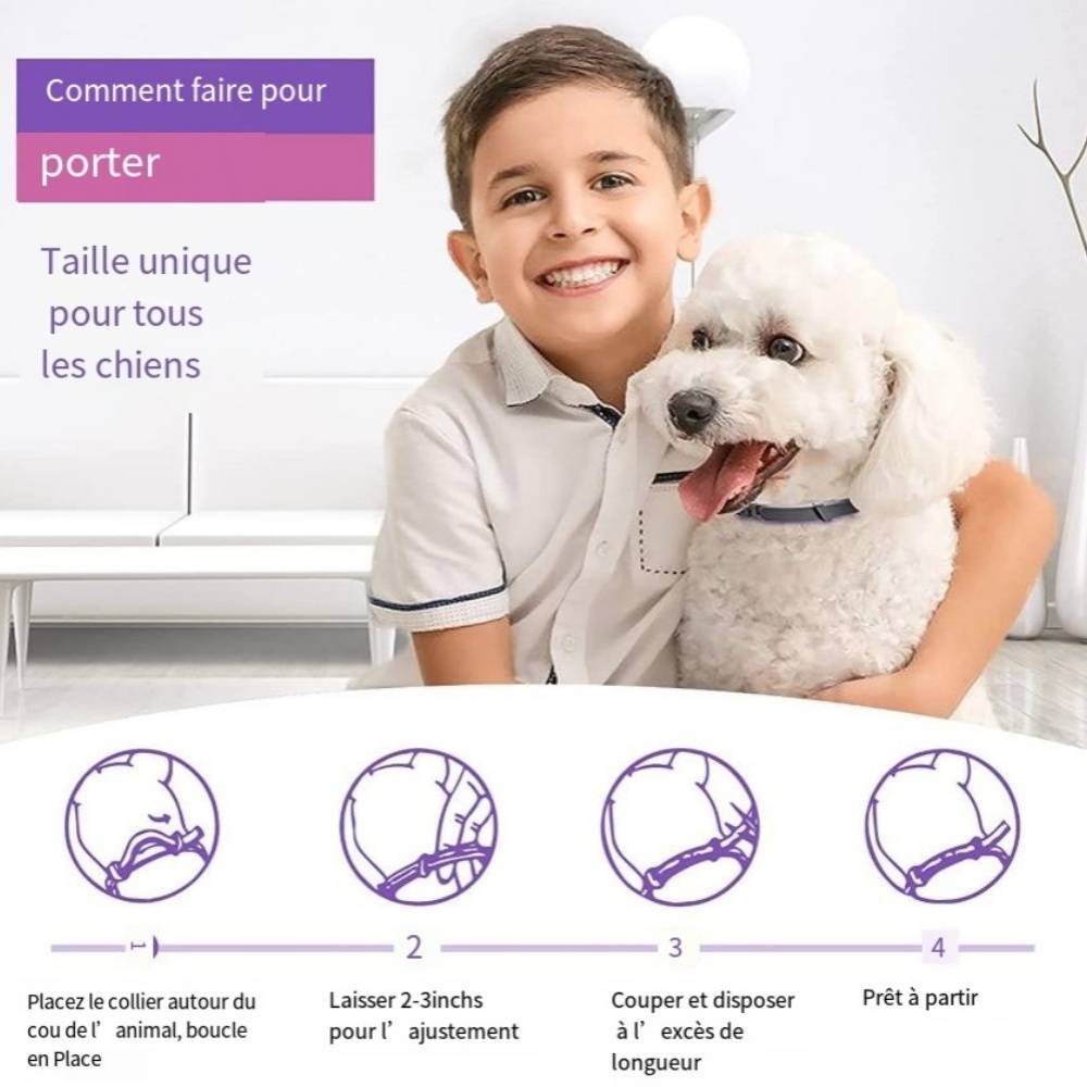 IntiMeg - Collier vermifuge pour chien IntiMeg - Image 4